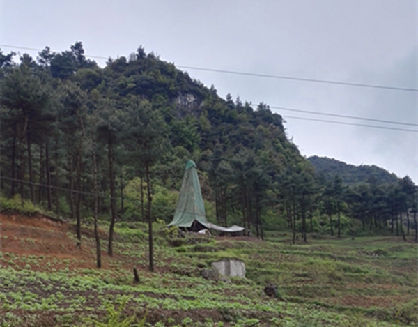 把脈“黔”鋅地，問診開良方